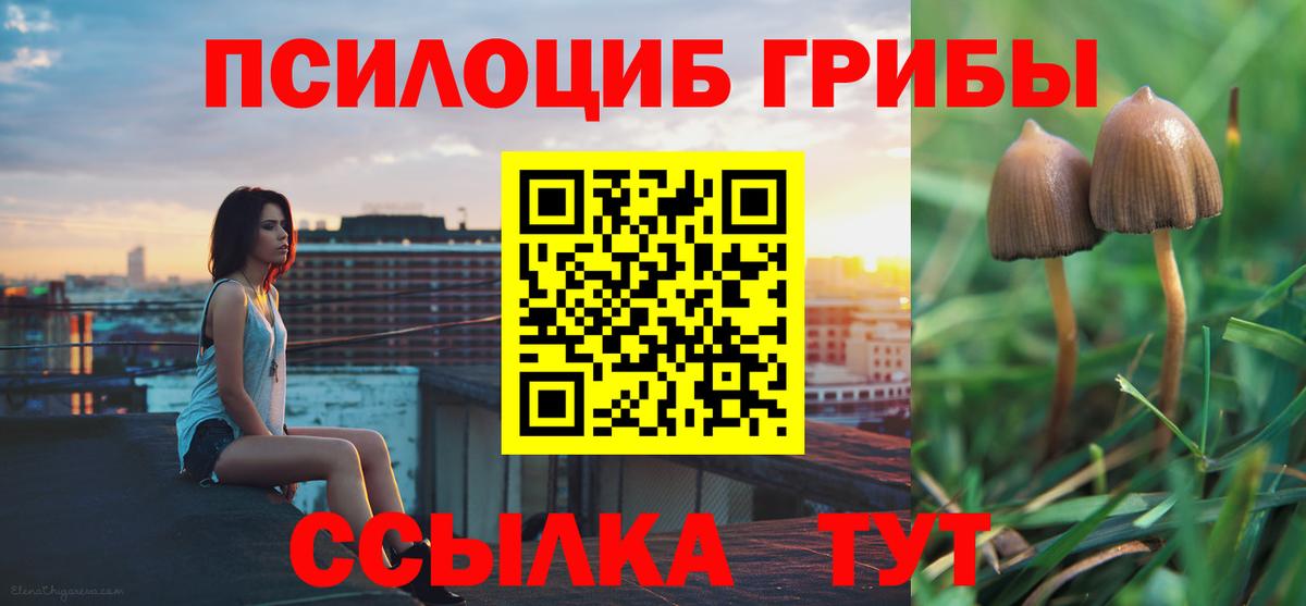 Псилоцибиновые грибы мицелий Азнакаево